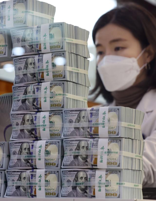 이달 6일 서울 중구 하나은행 본점 위변조대응센터에서 한 직원이 달러를 정리하고 있다. 연합뉴스