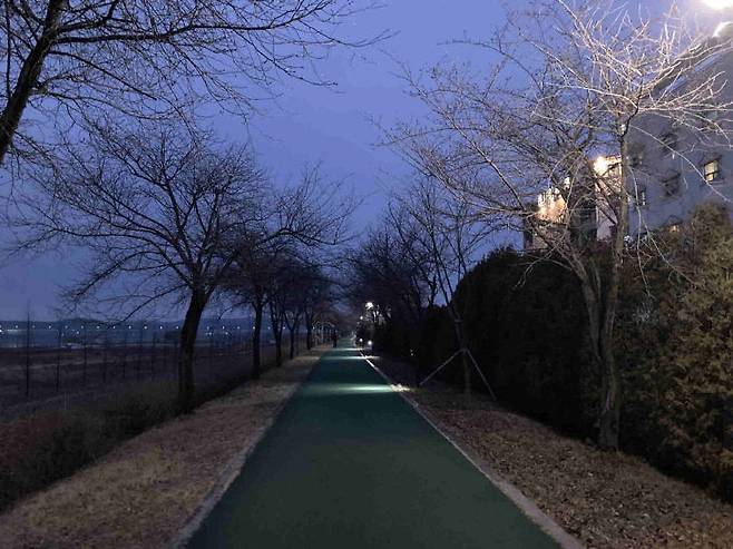 여주시(시장 이항진)가 걷고싶은거리를 대대적으로 정비할 예정이라고 28일 밝혔다. / 사진제공=여주시