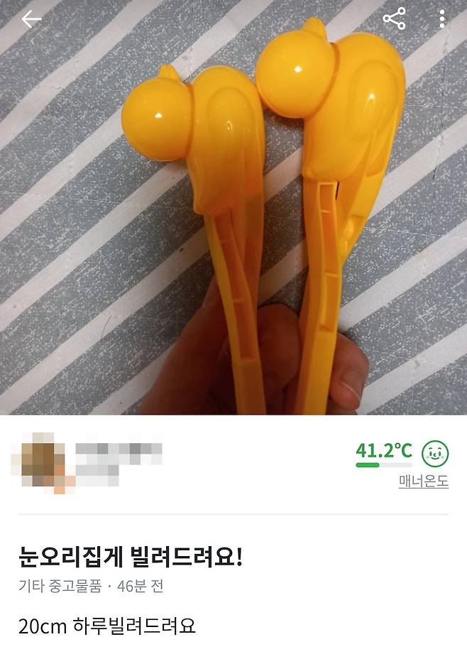 [당근마켓 캡처]