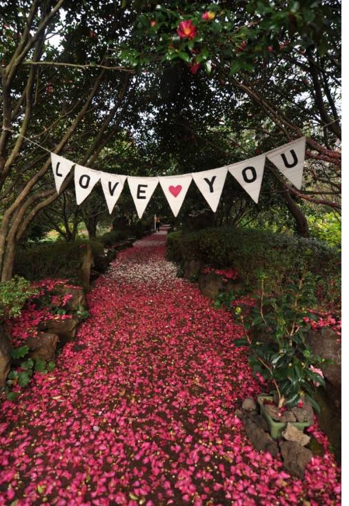 제주 카멜리아힐. 카멜리아힐홈페이지 제공.