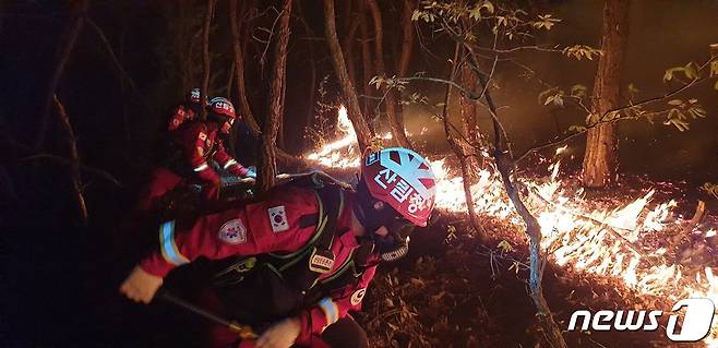 자료사진.© 뉴스1