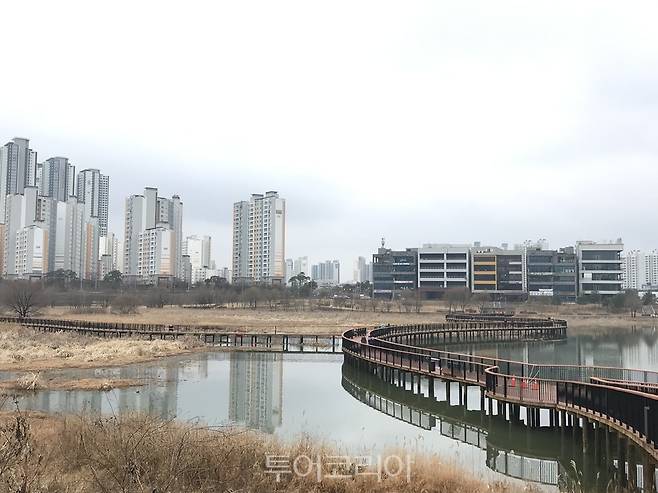 전주 기지제 가로지르는 횡단 산책로 / 사진-전주시