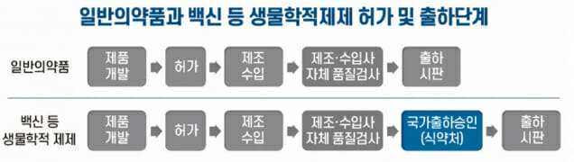 일반의약품과 백신 허가 및 출하단계(사진=식품의약품안전처)