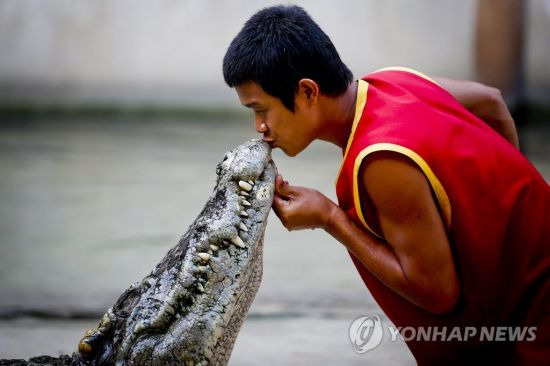 악어. 사진은 기사 중 특정 표현과 무관.