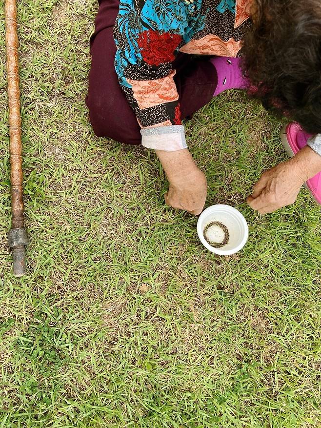 지난해 5월31일. 할머니께서 할아버지 산소에 뿌릴 잔디 씨앗을 받고 있다. 송숙 제공