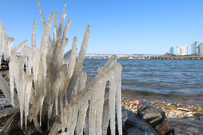 29일 오후 서울 여의도 한강공원 일대에 고드름이 얼어 있다. 뉴스1