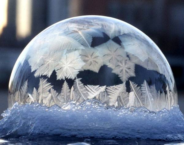 마치 겨울 숲 위로 별들이 하늘을 덮는 듯한 모습으로 뻗어나가며 얼어붙고 있다.