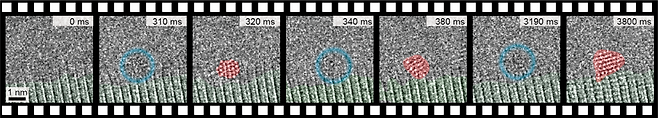초고속 투과전자현미경을 활용해 관찰한 금 원자가 비결정상과 결정상의 상태를 반복하며 결정핵으로 성장하는 과정 /사진제공=삼성전자