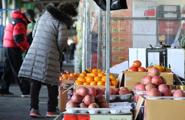 27일 서울 송파구 가락농수산물종합도매시장에서 시민들이 사과 등 과일을 고르고 있다. 연합뉴스