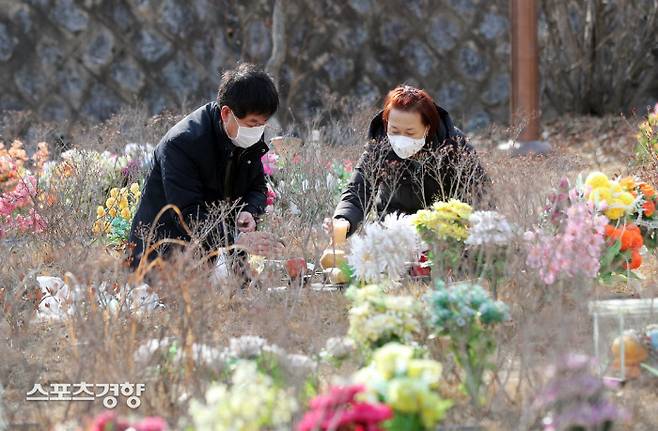 31일 오후 광주 북구 효령동 영락공원에서 시민들이 평장으로 이뤄진 묘소를 참배하고 있다. 이날 영락공원에는 코로나19 확산 상황을 고려해 성묘객이 몰리는 설 명절 전 미리 성묘를 하려는 시민들의 발걸음이 이어졌다. 연합뉴스