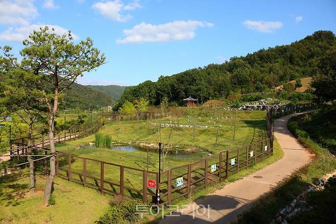 예산 황새공원