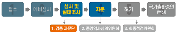 식약처의 코로나19 백신 허가 절차. /식약처 제공