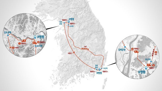 그래픽=김충민 기자 kcm0514@donga.com