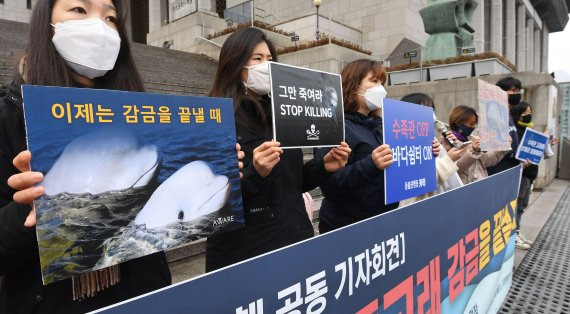 동물복지문제연구소 어웨이, 정치하는엄마들, 동물권행동 카라 등 시민단체와 동물보호단체 회원들이 1일 서울 세종대로 세종문화회관 앞에서 '이제는 돌고래 감금을 끝낼때' 기자회견을 열고 수족관 돌고래 방류를 촉구하고 있다. 사진=김범석 기자