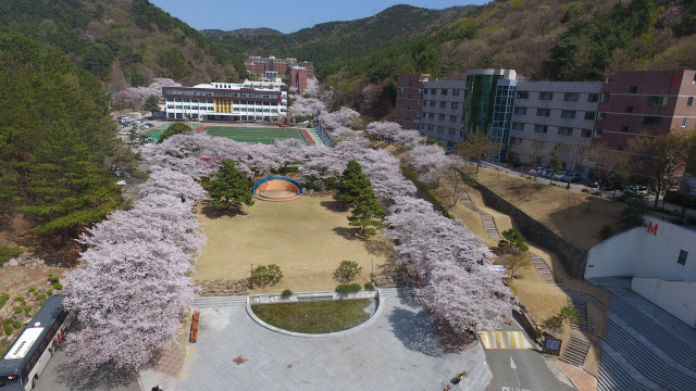 와이즈유 해운대캠퍼스 전경./사진제공=와이즈유