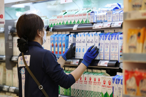 서울 시내 한 대형마트에서 직원이 우유 매대를 정리하고 있다.(사진=연합뉴스)