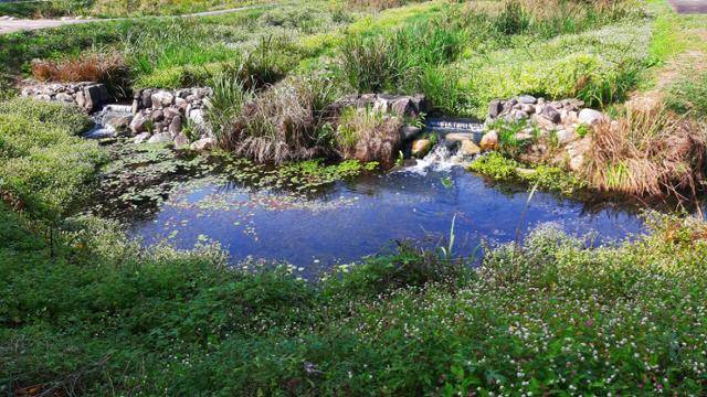 충남 공주 제민천 상류 비오톱. 최성용 작가 제공