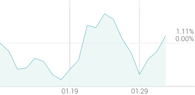 1개월 등락률 +1.25%