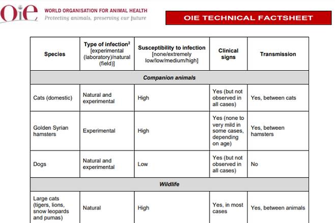 현재까지 다양한 종에서 코로나19 감염된 동물들 요약. 세계동물보건기구(OIE) 제공
