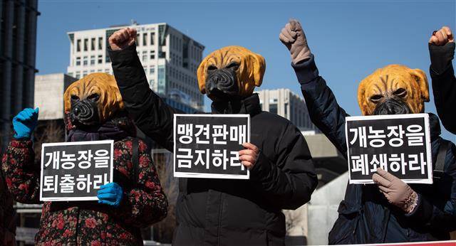 맹견 가면을 쓴 동물보호단체 회원들이 지난 2일 서울 광화문광장에서 기자회견을 열고 맹견 보험 의무화, 맹견 수입 금지 및 개농장 퇴출을 촉구하고 있다.뉴스1