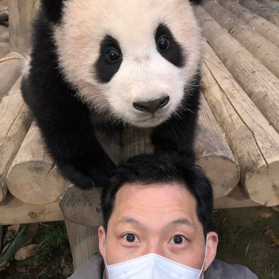 푸바오와 송영관 사육사. 에버랜드