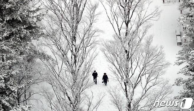 충남 서해안을 중심으로 내려진 대설주의보가 대전과 충남 전역으로 확대됐다. 지난달 18일 오전 대전 서구 보라매공원에 눈이 쌓여 있다. 2021.1.18/뉴스1 © News1 김기태 기자