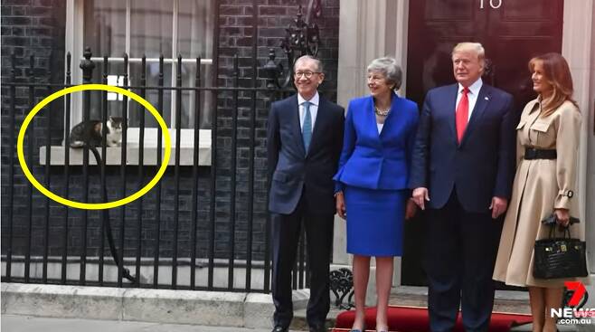 테리사 메이 전 영국 총리와 도널드 트럼프 전 미국 대통령 부부가 기념사진을 찍는 동안 관저 주변을 어슬렁거리는 래리