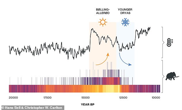 털매머드 등 거대 동물의 개체 수가 온난화 기간 급증했디가 빙하기에 가까운 기후 환경에서 급감한 것을 나타낸 그래프(사진=한스 셀과 크리스토퍼 칼튼)