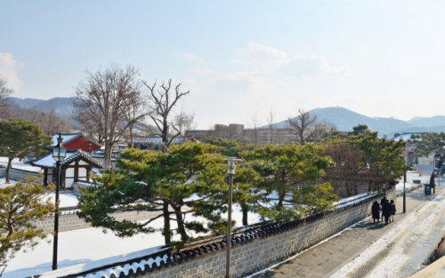 돌담길 너머로 보이는 경기전 풍경. 기자가 전주 한옥마을을 찾은 날 일대의 모든 유적은 코로나19 거리 두기로 봉쇄돼 있었다.