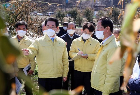 김영록 전남도지사가 19일 고흥군 풍양면 한동리 유자 한파 피해현장을 방문, 송귀근 고흥군수로부터 피해상황에 대해 설명을 듣고 있다. 사진=전남도 제공