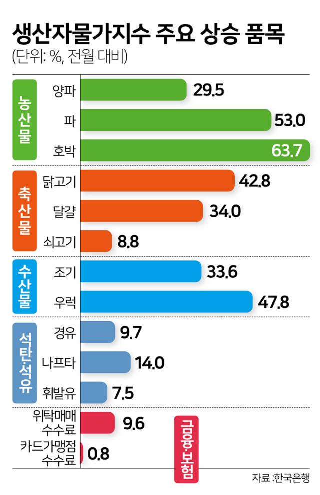 생산자물가지수 주요 상승 품목