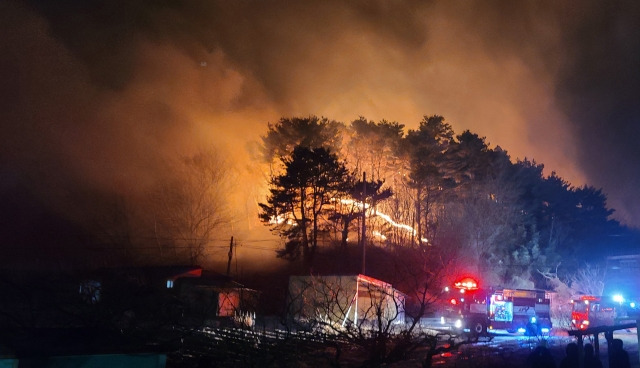 19일 강원 양양군 양양읍 사천리의 야산에서 화재가 발생해 점차 번지고 있다. 연합뉴스