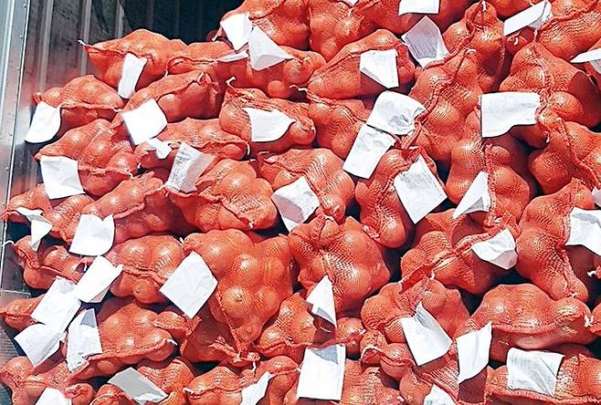 수입산 양파 사진 aT 제공