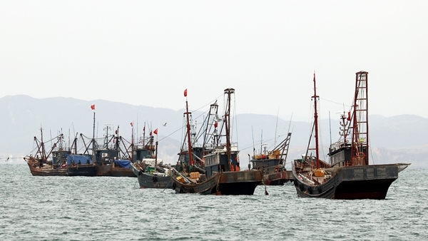 인천 연평도 북측 서해 북방한계선(NLL) 해역에서 중국어선들이 불법조업을 벌이고 있다. /사진=뉴스1