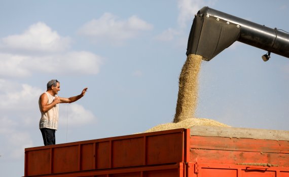 지난해 7월 11일 러시아 스타브로폴 지역에서 농장 인부가 곡물을 트럭에 싣고 있다.로이터뉴스1