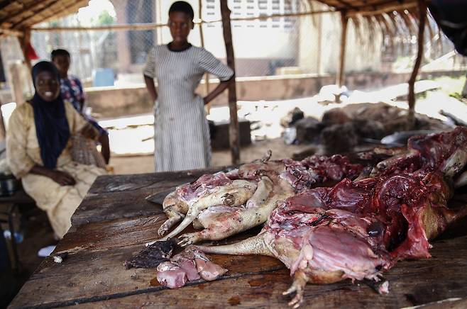 아프리카 나이지리아 라고스 생고기 시장에서 판매되는 야생동물 고기(bush meat). EPA=연합뉴스