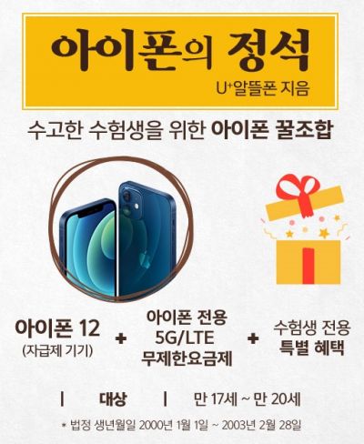LG유플러스가 작년 12월 진행한 '아이폰+알뜰폰 꿀조합' 프로모션