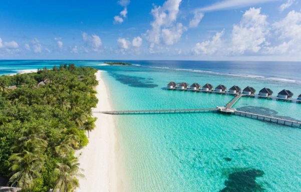 세계적인 휴양지로 이름난 몰디브의 해변. /트위터 캡처