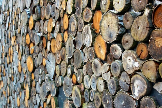 바이오매스 연료로 활용하기 위해 벌목된 나무들. 사진=Pixabay