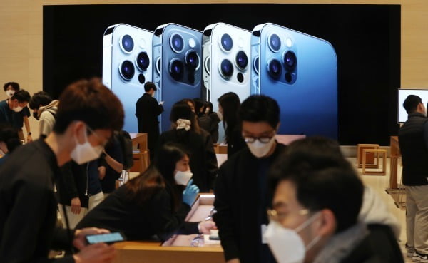 애플의 아이폰12 프로맥스와 아이폰12 미니가 공식 출시된 지난해 11월 20일 오전 서울 강남구 가로수길 애플스토어에 아이폰을 구입하러 온 고객들로 북적이고 있다/사진=뉴스1