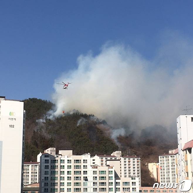 10일 낮 12시41분쯤 전남 광양시 중마동 가야산에서 화재가 발생했다. 신고를 받고 출동한 헬기가 화재 현장에 물을 뿌리고 있다.(독자 제공)2021.2.10/뉴스1 © News1 지정운 기자