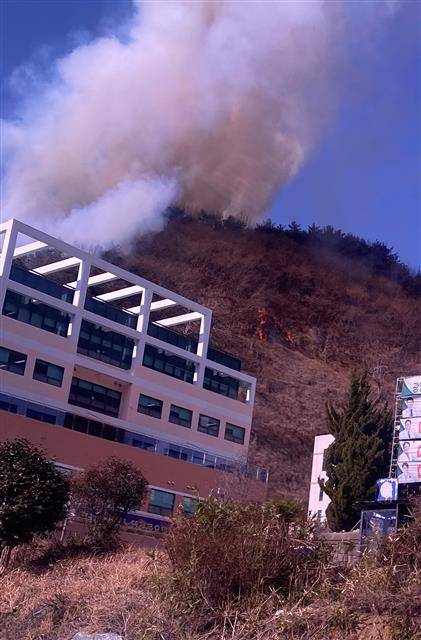 광양 가야산 산불…산림당국 진화 중 - 10일 낮 12시41분쯤 전남 광양시 중마동 가야산 자락에서 화재가 발생, 산림당국이 진화 작업을 펼치고 있다.뉴스1 독자제공 2021.2.10