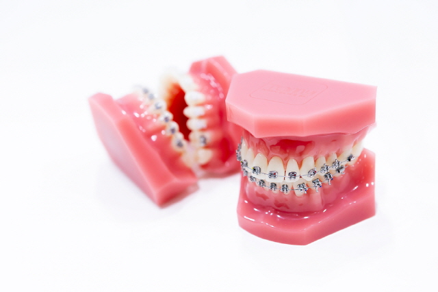 노인은 치아 상태나 복용하는 약에 따라 치아 이동 속도에 영향을 받을 수 있으므로, 치료 전 전문의 상담을 통해 적합한 치료를 받아야 한다./사진=클립아트코리아