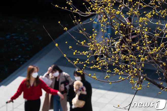 지난해 3월8일 서울 청계천에 핀 산수유 꽃 아래로 시민들이 산책을 즐기고 있다. 2020.3.8/뉴스1 © News1 유승관 기자