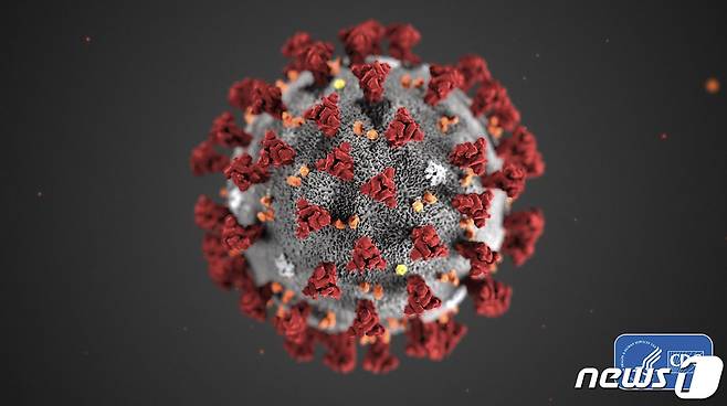 신종 코로나바이러스 감염증 자료 사진 © News1