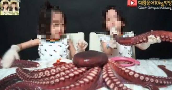 아동이 대왕문어를 먹는 영상이 올라온 유튜브 채널
