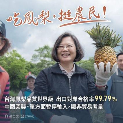 차이잉원 대만 총통이 중국의 파인애플 일방적 수입 중단 조치를 비난하며 국민에게 파인애플을 더 많이 먹어달라고 요청했다./트위터