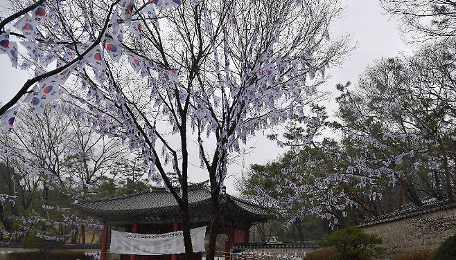 제102주년 3.1절인 1일 서울 용산구 효창공원 앞 가로수에 태극기가 걸려 있다. 박종민 기자