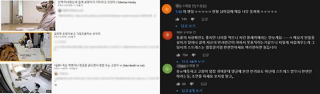 반려동물 몰래카메라 영상·댓글 (사진=유튜브 캡쳐)