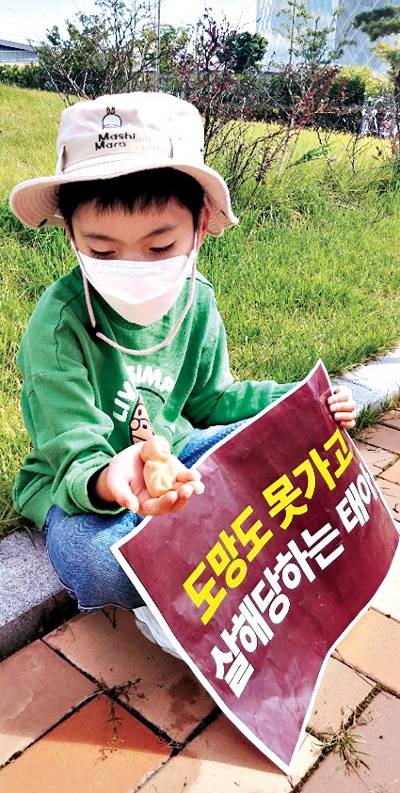 지난해 9월 세종시 국무조정실 앞에서 열린 낙태 반대 집회에서 한 어린이가 임신 12주 태아 모형을 바라보고 있다.